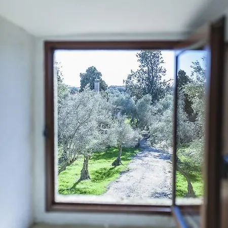 Affittacamere Castillo De Caces