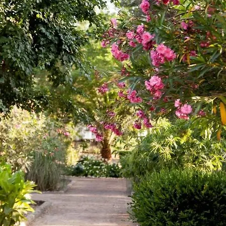 Affittacamere Castillo De