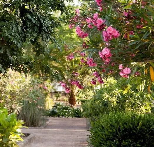 Gasthuis Castillo De